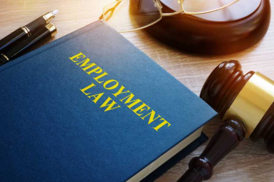 Understand Employment Law and Your Rights as an Employee To Prevent Workplace Injuries