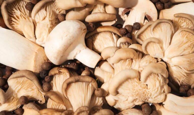 The Punishments One May Face if They Are Accused of Possessing Magic Mushrooms