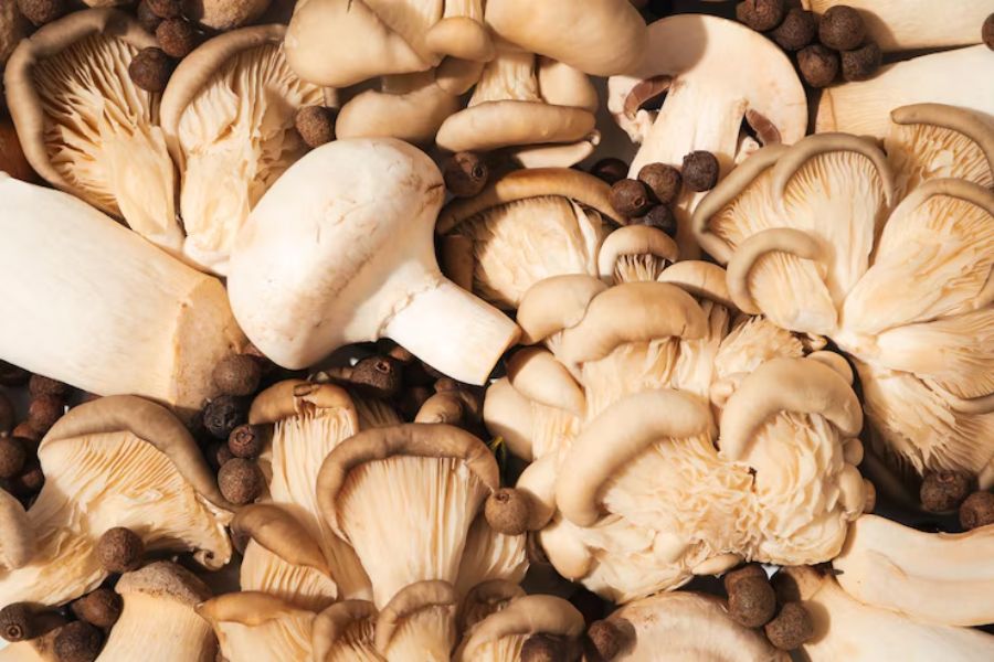 The Punishments One May Face if They Are Accused of Possessing Magic Mushrooms