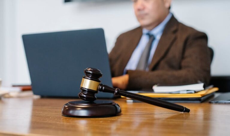 Civil Rights Lawyers