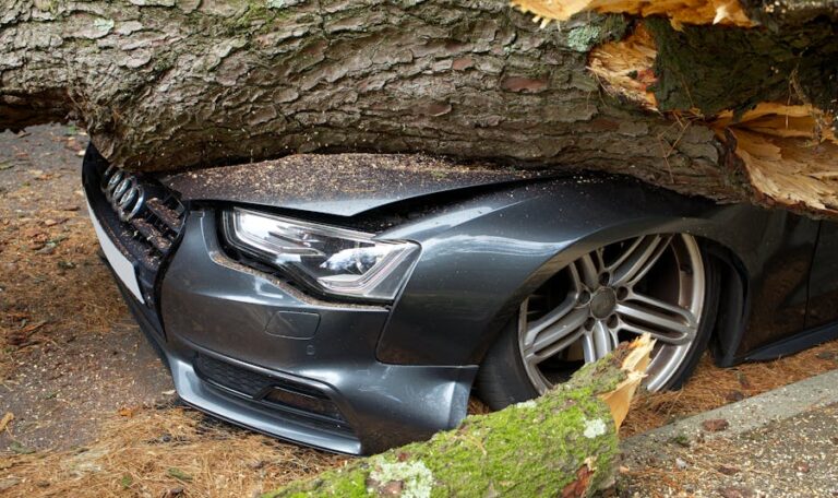 How to Protect Your Rights After a Car Accident