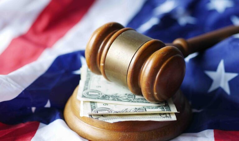 Surge in Federal Court Immigration Cases & Legal Backlog