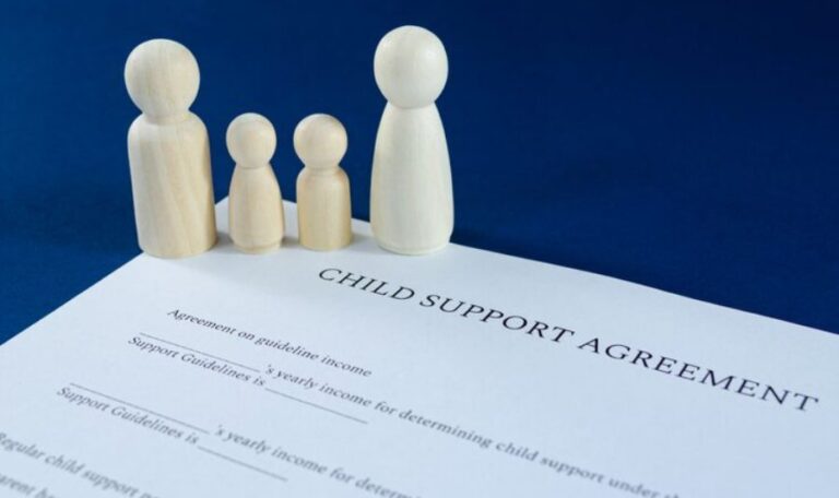 Lawyer for Child Support
