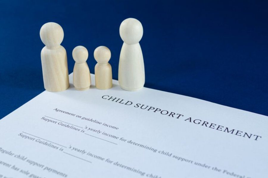 Lawyer for Child Support