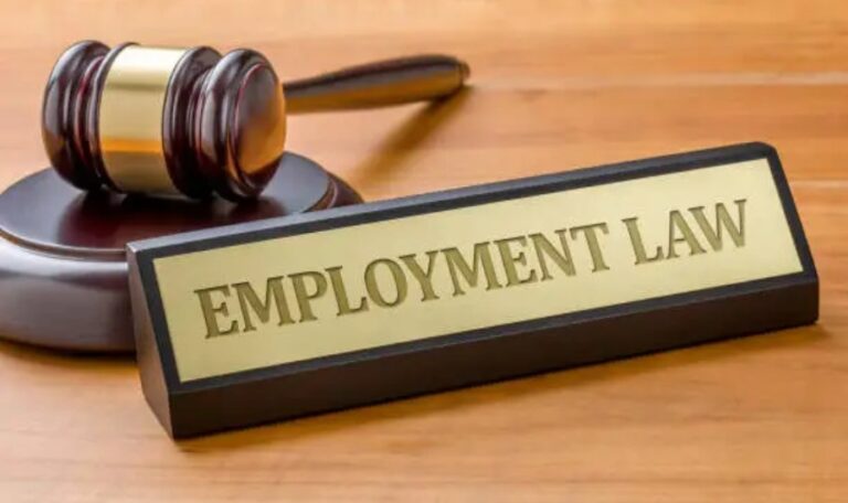 Why Does Employment Law Exist?
