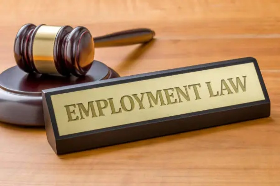 Why Does Employment Law Exist?