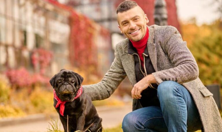 How a Michigan Dog Bite Lawyer Can Help You Recover Damages?