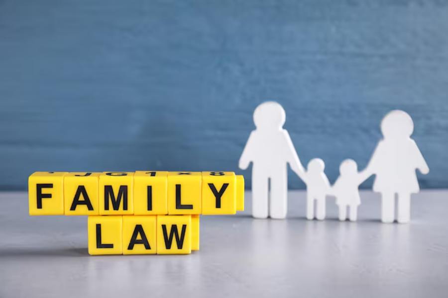How Legal Advice Can Help During Family Disputes