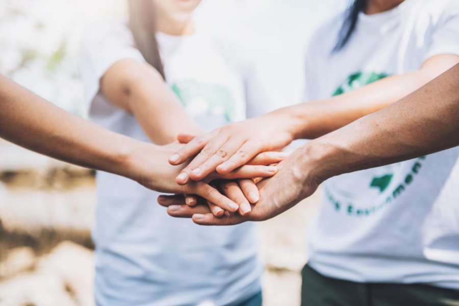 So You Want to Start a Nonprofit