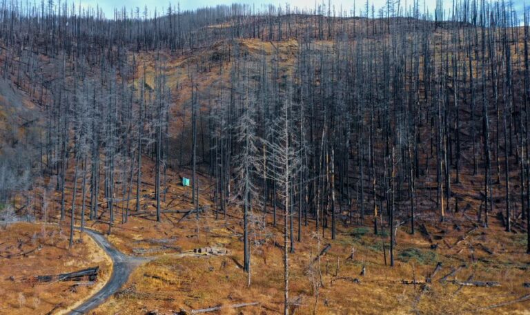 Why Property Damage Valuation Becomes Complicated After a Major Wildfire