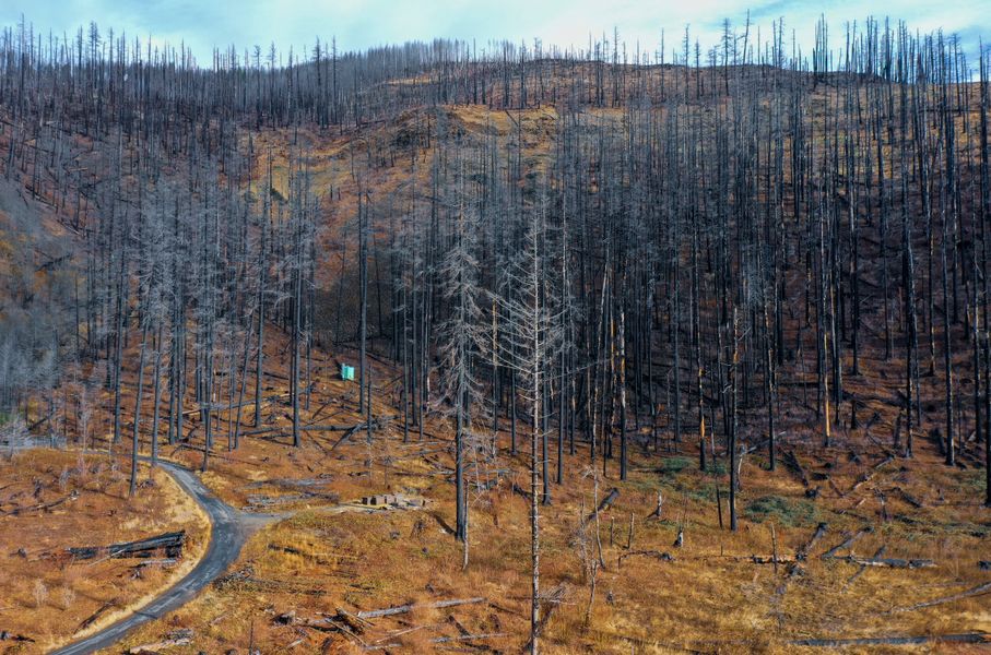 Why Property Damage Valuation Becomes Complicated After a Major Wildfire